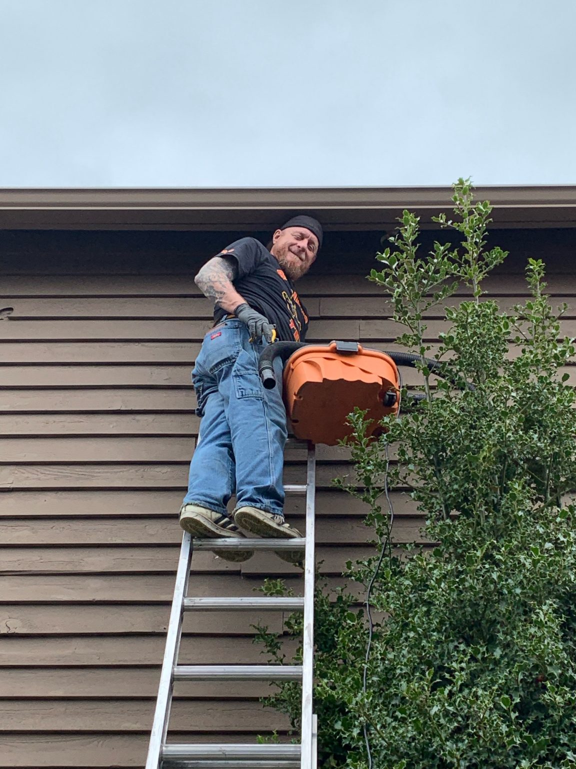 US Wildlife Removal – A Humane Wildlife Control Company